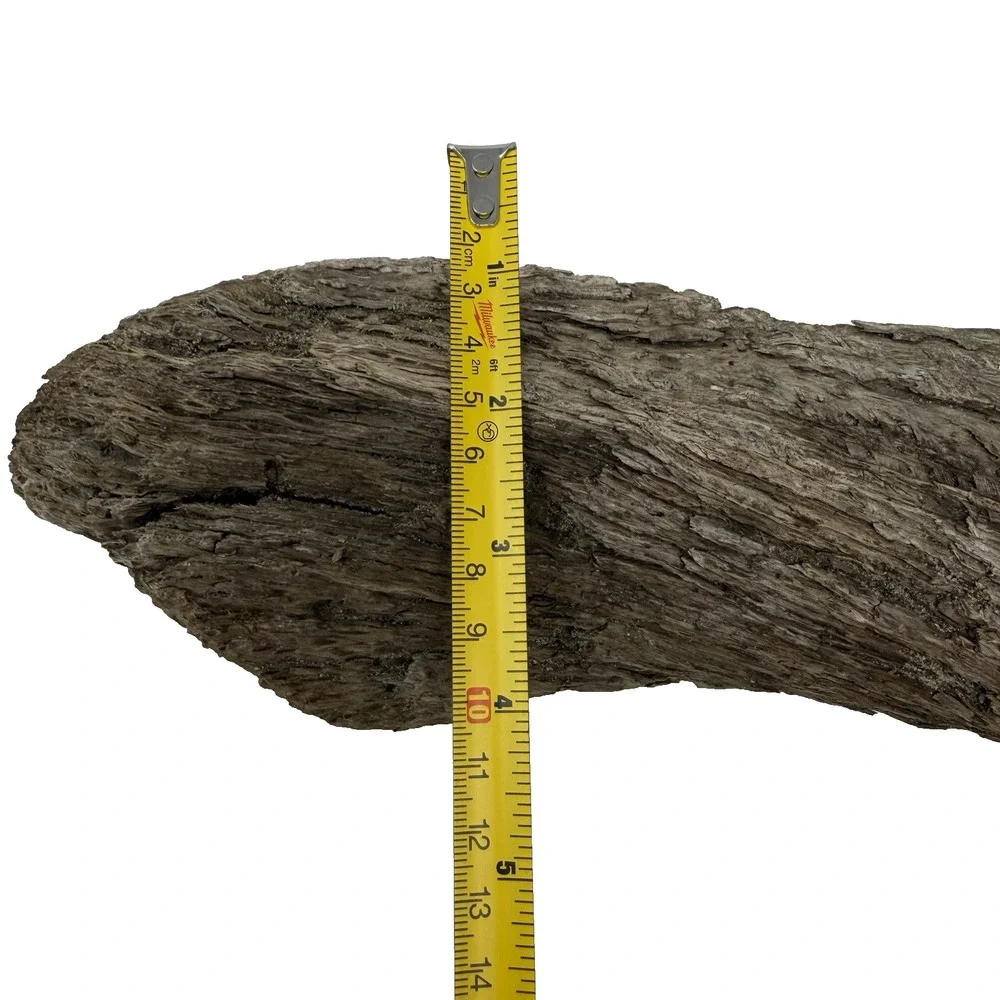 Twisted California Coast Driftwood Form – Dark Weathered Grain 13”